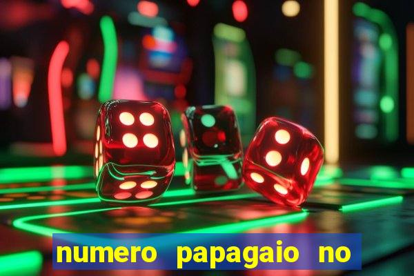 numero papagaio no jogo do bicho